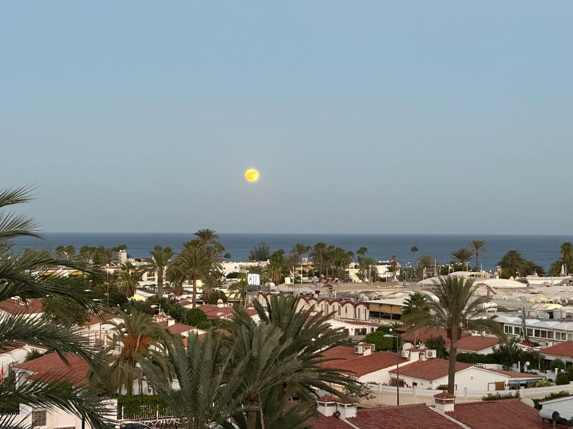 Apartamento Tamaran Sky Playa del Inglés Extérieur photo